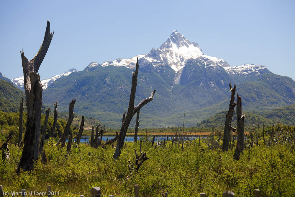 Carretera Austral: 05/01 Rio Simpson - Rio Cisnes / Snowy moutain and dead trees. Click to see full size image