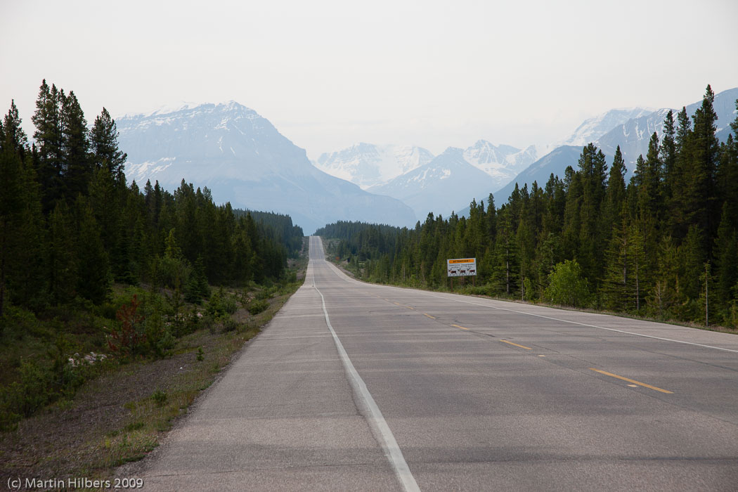 Jasper-Banff-Waterton-Glacier: 5 Jul: Honeymoon Lake - The Crosing / All Quiet on the Icefields Parkway. Click to see full size image