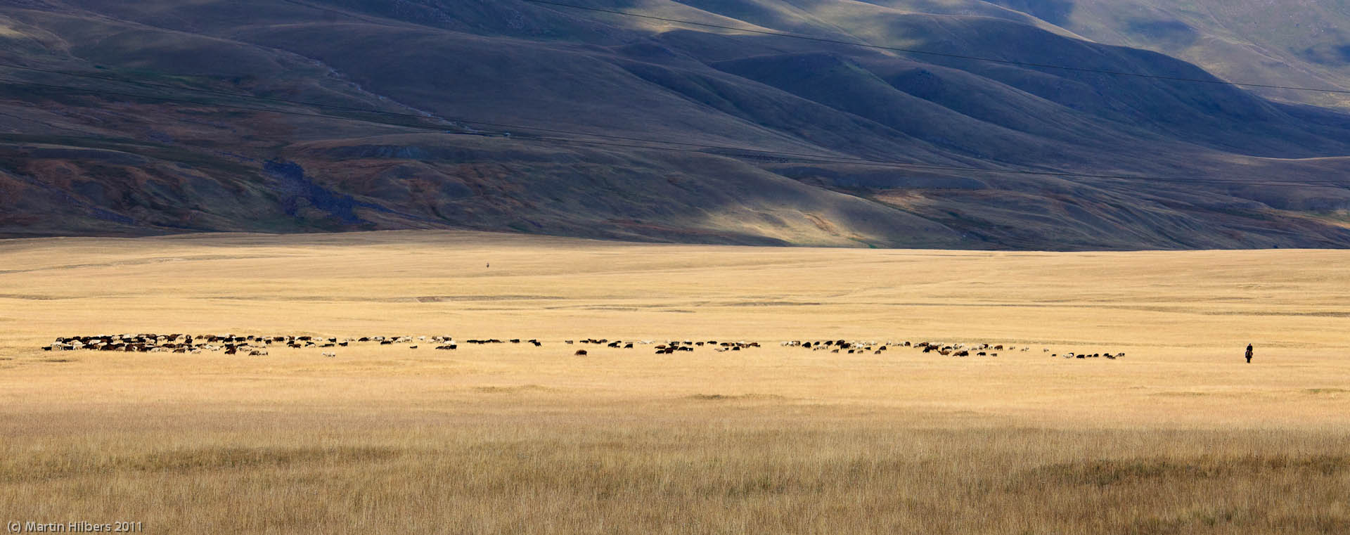 Kyrgyzstan: 26/8 Lakol - Balgart Valley - (Jeluu Suu) / Kyrgyz herdsman with flock. Click to see full size image
