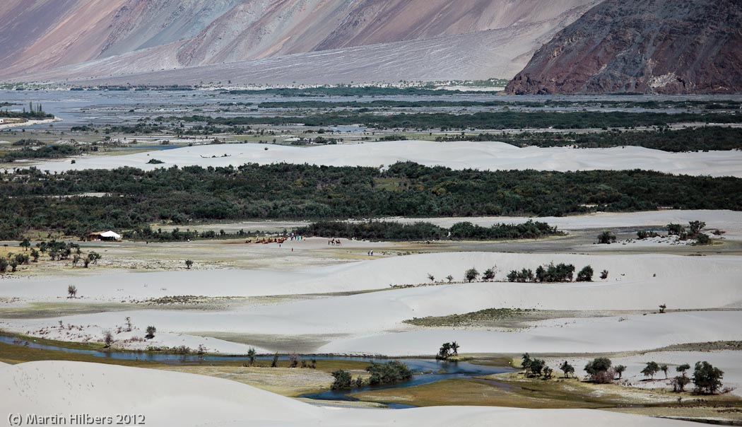 Ladakh: 1/9 Khalsar - Hunder vv / Hunder dunes and camels. Click to see full size image