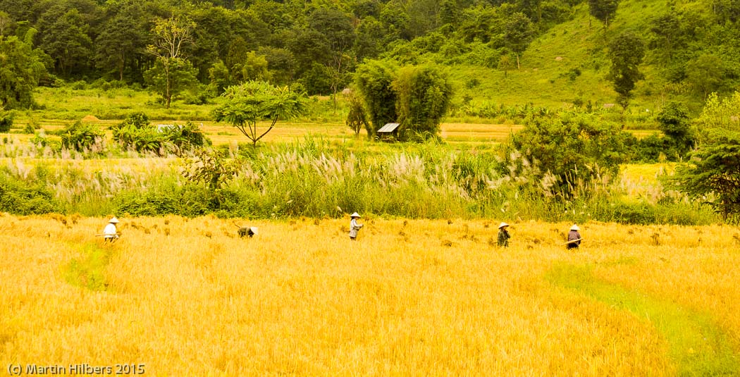 Laos: 11/11 Nam Khene - Vang Vieng / OLYMPUS DIGITAL CAMERA. Click to see full size image