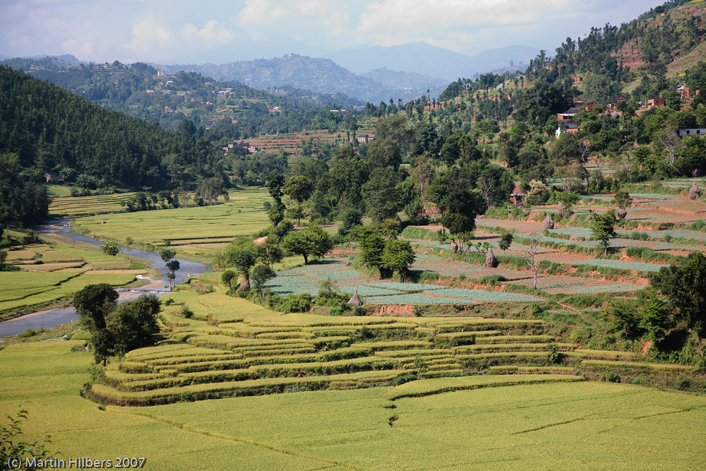 Lhasa Kathmandu : The Last Resort - Dhulikei / View on climb to Dhulikei. Click to see full size image