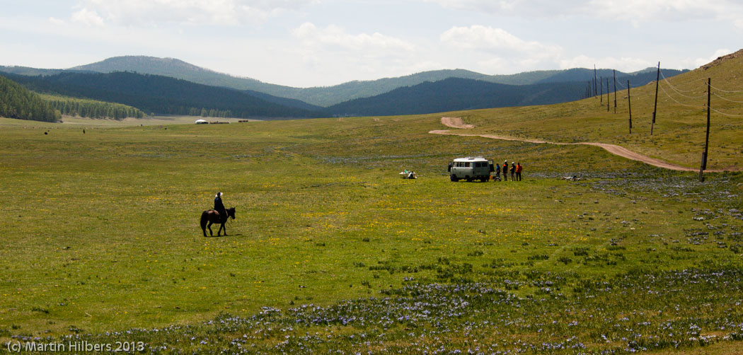 Mongolia: 4/6 Erdenet - Bulgan / Herdsman checking out lunch stop. Click to see full size image