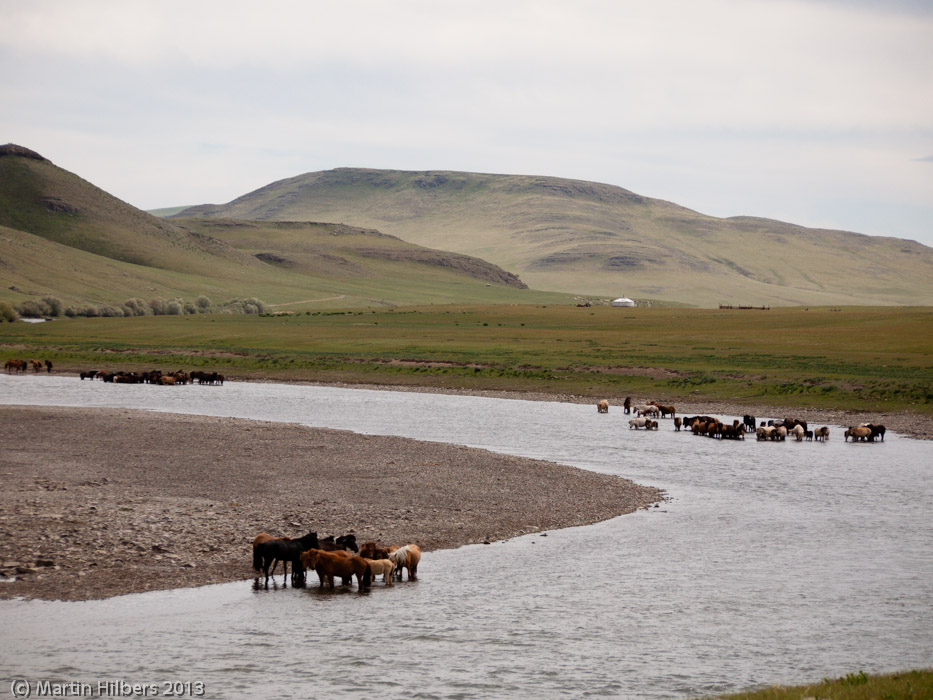 Mongolia: 6/6 Saikhan - Öldziyt / Horses bathing. Click to see full size image