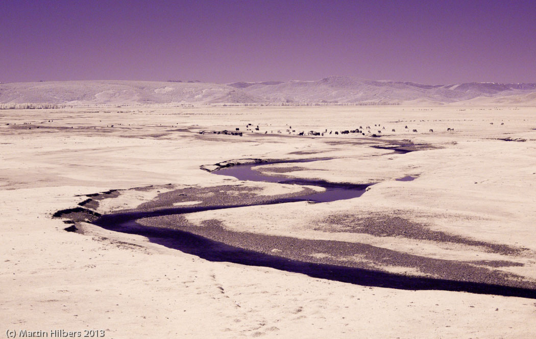 Mongolia: 10/6 Tsetserleg - Kumirnya Tusukhaley / River valley upstream from Tsetserleg (IR). Click to see full size image