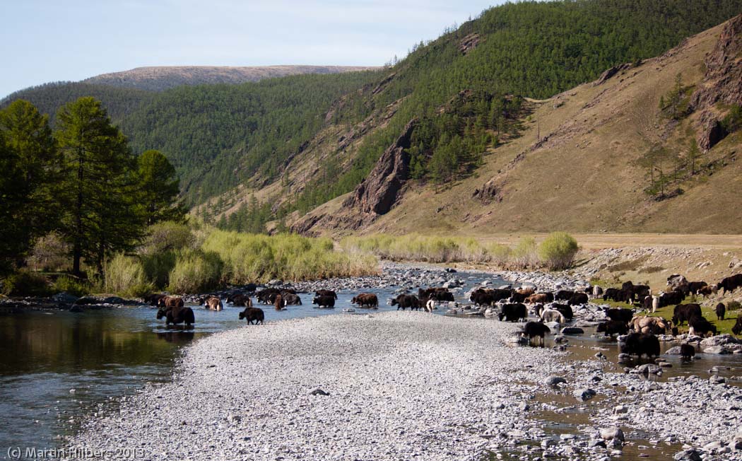 Mongolia: 11/6 Kumirnya Tusukhaley - Khangai Mountains Pass / Yak river crossing. Click to see full size image