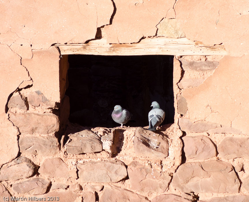 Morocco High Atlas and Jebel Sahro: 25/3 Toufliat - Telouet / Telouet Kasbah inhabitants. Click to see full size image