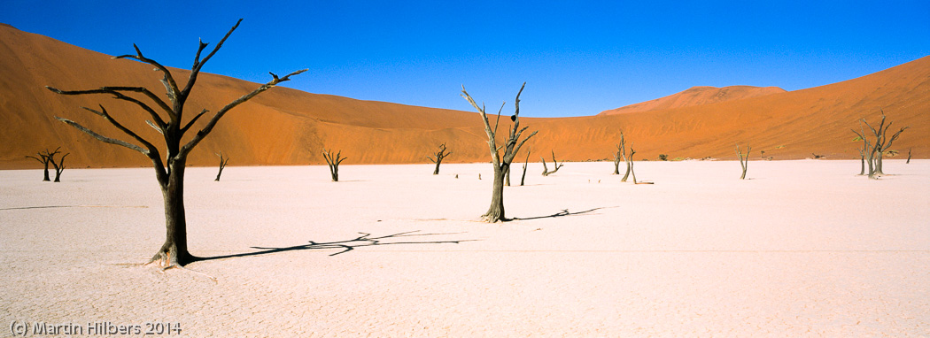 Victoria Falls - Cape Town: 28/5 Sosus Vlei / Dead Vlei. Click to see full size image