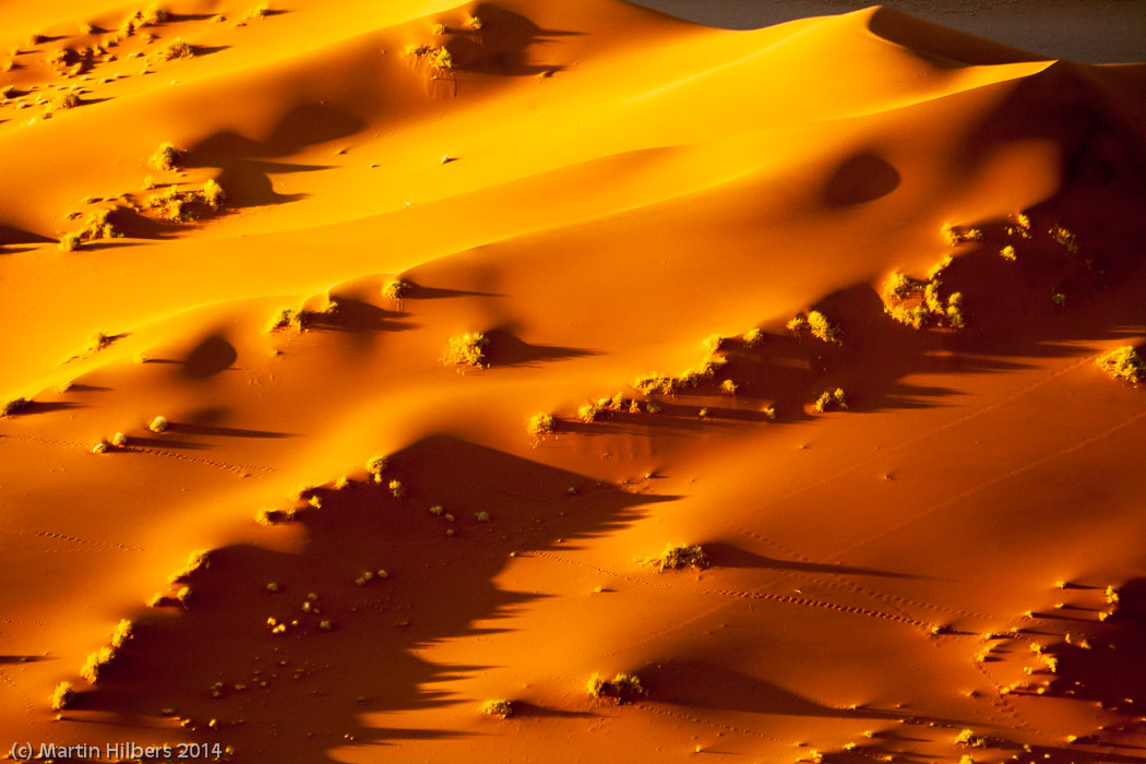 Victoria Falls - Cape Town: 28/5 Sosus Vlei / Dune detail. Click to see full size image